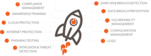 OrbitalFire Cybersecurity Services