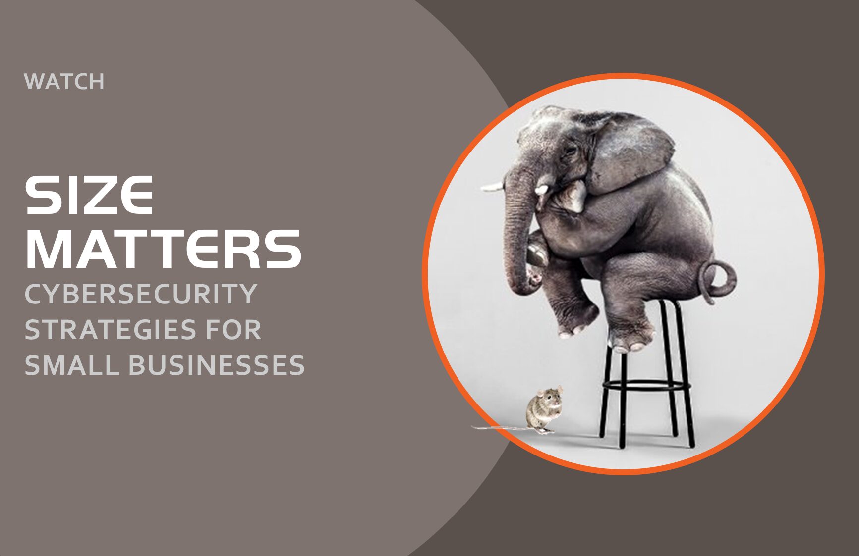 Size Matters in Small Business Cybersecurity